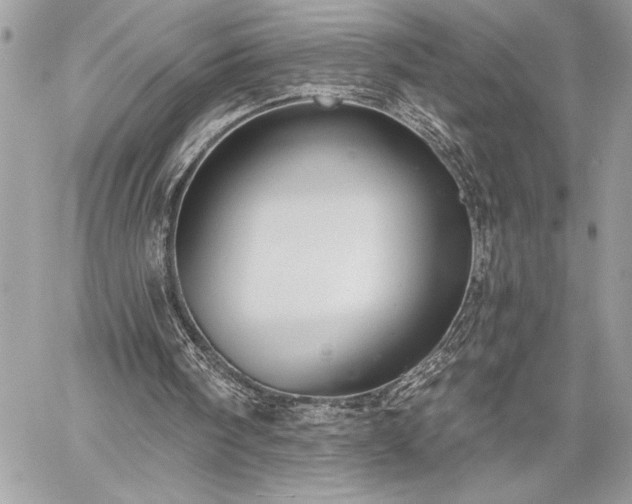 X0000060240098200510281129