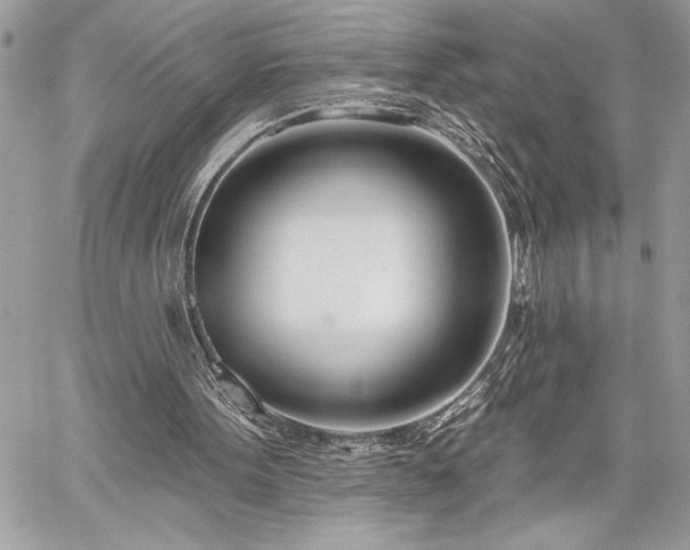 X0000060240099200510281129