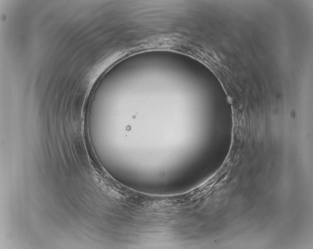 X0000060240100200510281129