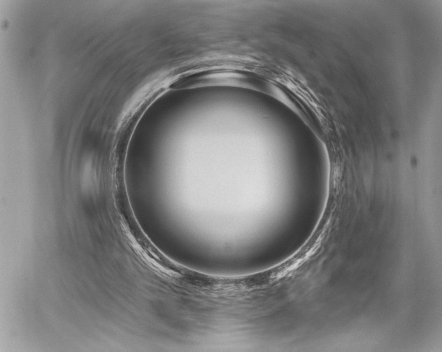 X0000060240101200510281129