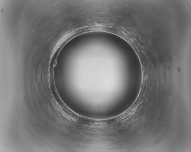 X0000060240102200510281129