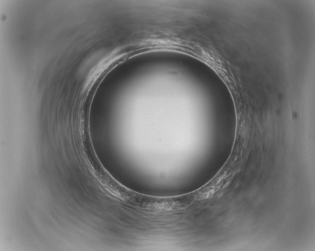 X0000060240103200510281129