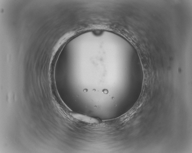 X0000060240104200510281129