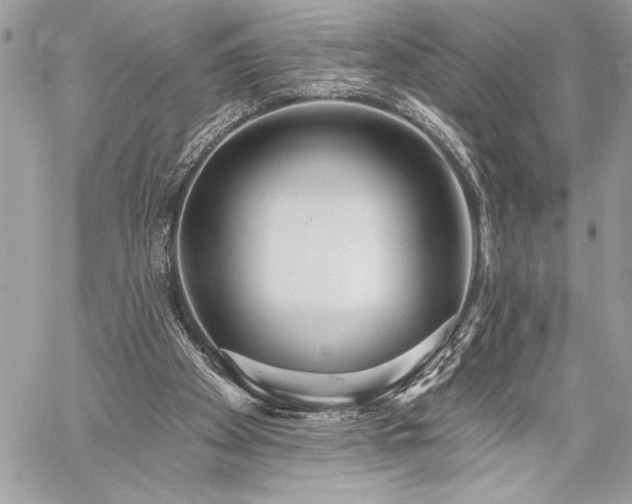 X0000060240105200510281129