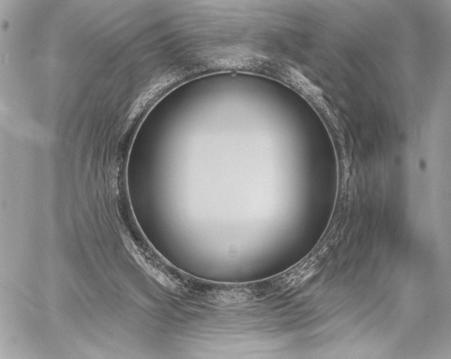 X0000060240106200510281129