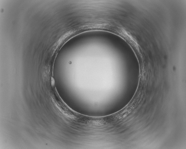 X0000060240107200510281129