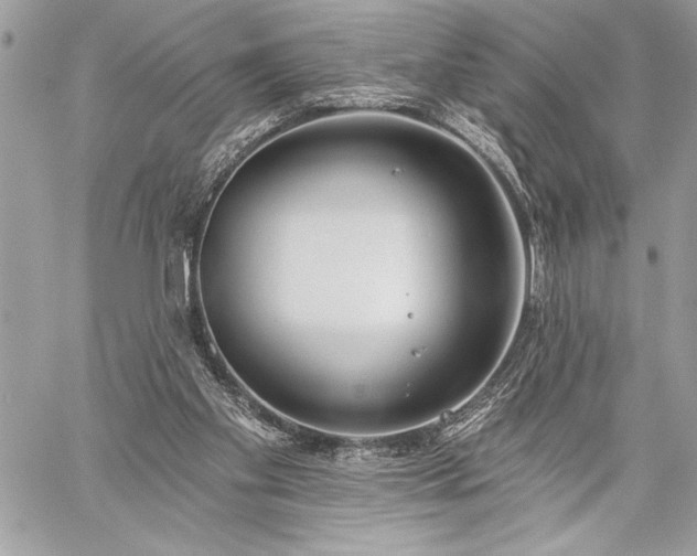 X0000060240109200510281129