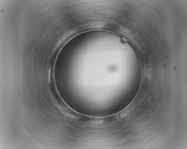 X0000060240110200510281129