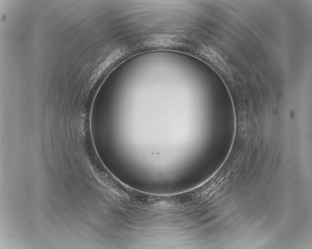 X0000060240111200510281129