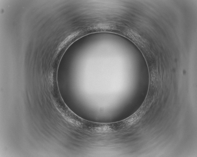 X0000060240112200510281129