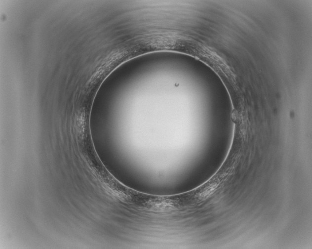 X0000060240113200510281129