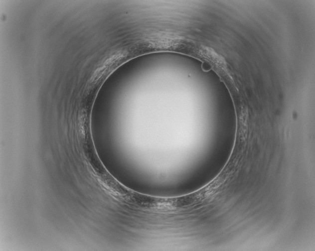 X0000060240114200510281129