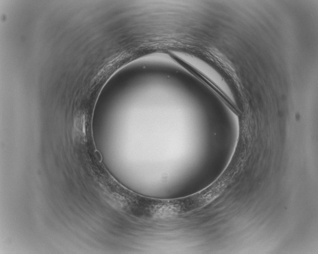 X0000060240115200510281129