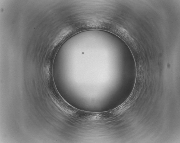 X0000060240116200510281129