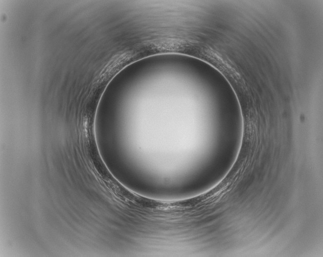 X0000060240117200510281129