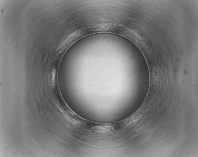 X0000060240118200510281129