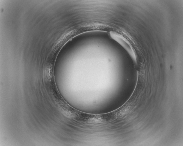 X0000060240119200510281129