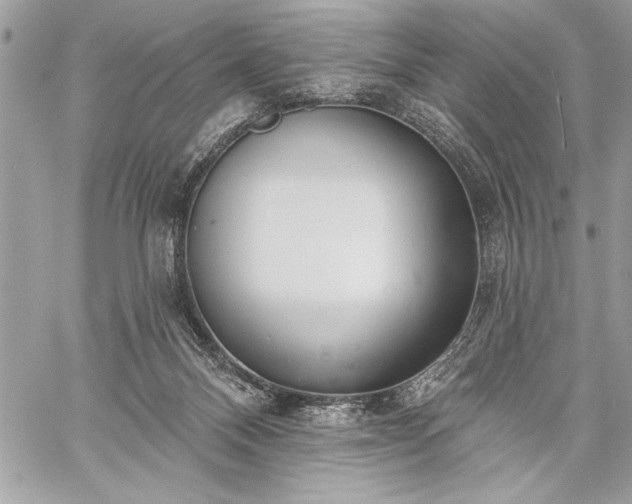 X0000060240120200510281129