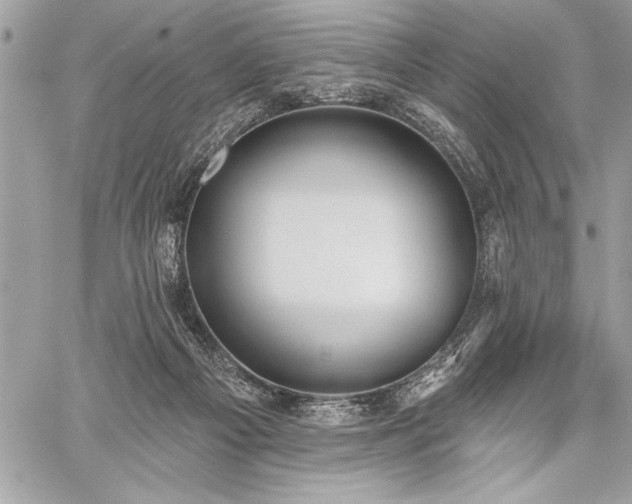 X0000060240121200510281129