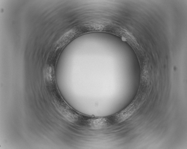 X0000060240122200510281129