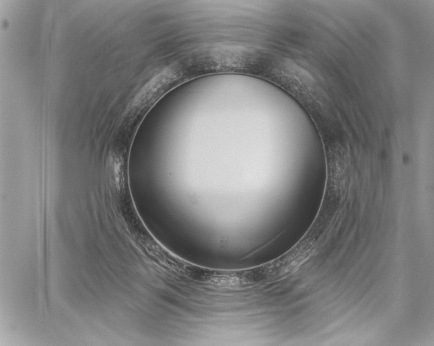 X0000060240123200510281129