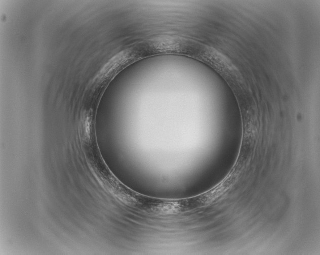 X0000060240124200510281129