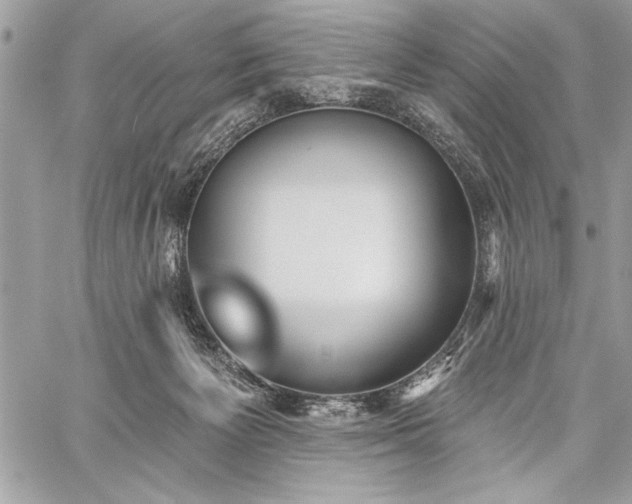 X0000060240125200510281129