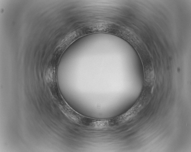 X0000060240126200510281129