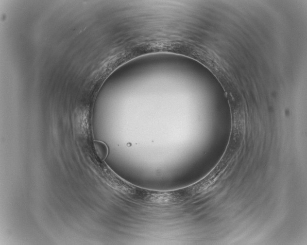 X0000060240127200510281129