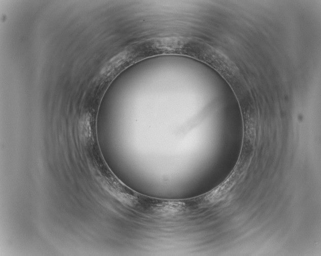 X0000060240128200510281129