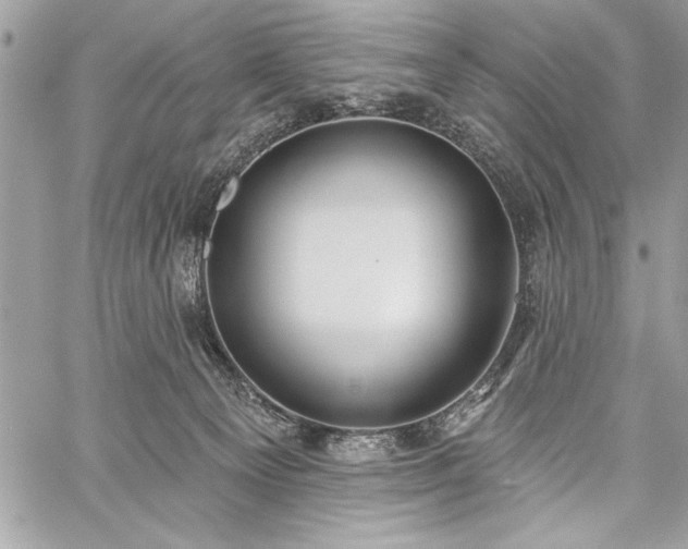 X0000060240129200510281129