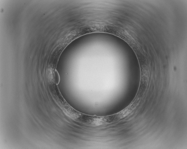 X0000060240130200510281129