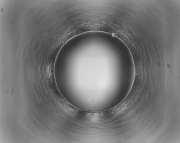 X0000060240131200510281129