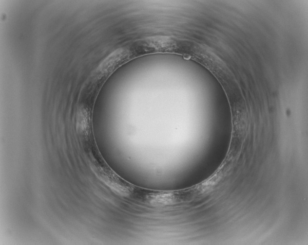 X0000060240132200510281129