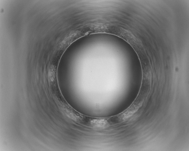 X0000060240133200510281129