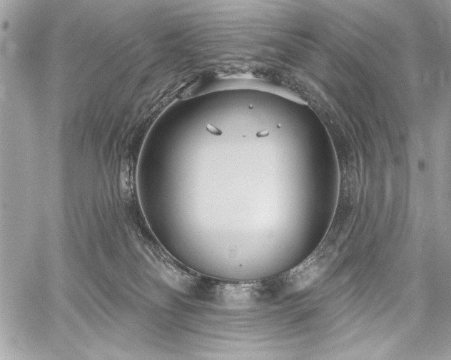 X0000060240134200510281129