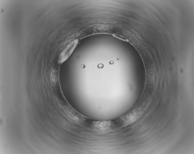 X0000060240135200510281128