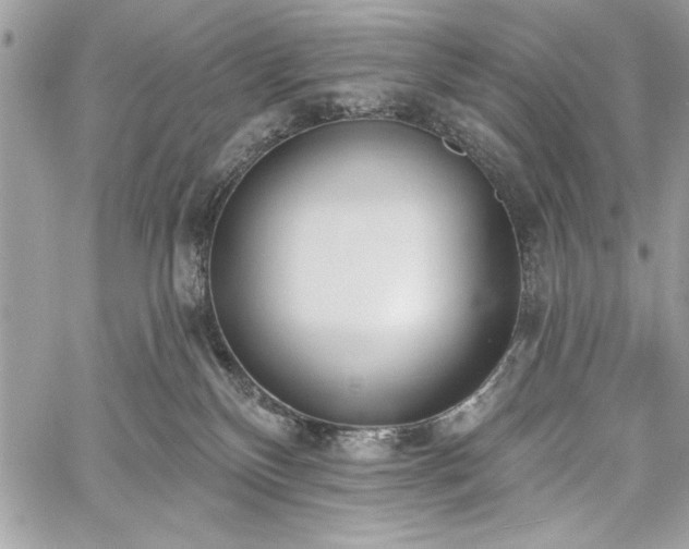 X0000060240136200510281128