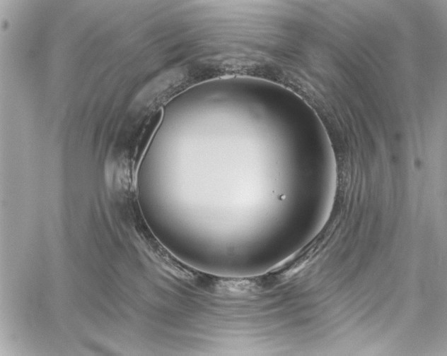 X0000060240137200510281128