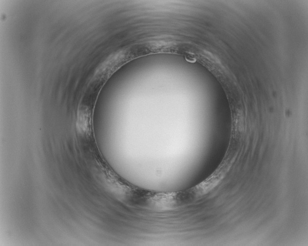 X0000060240138200510281128