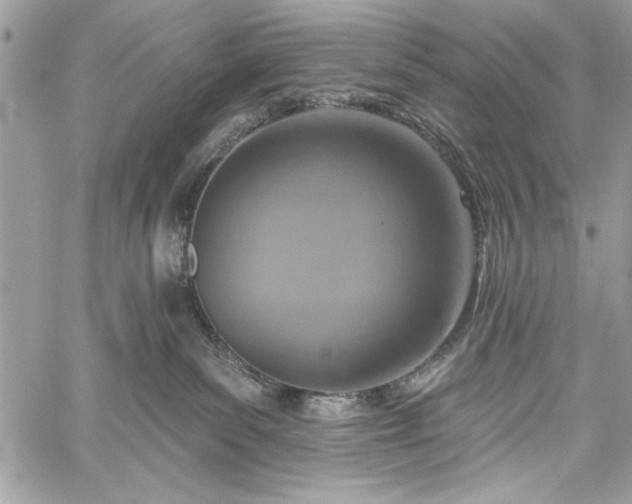 X0000060240139200510281128