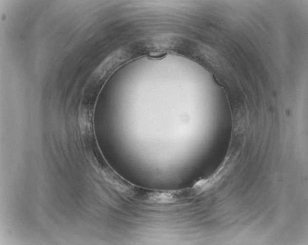 X0000060240140200510281128