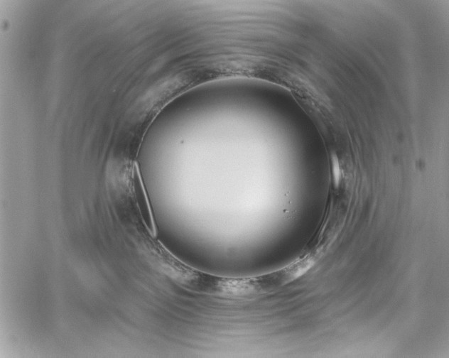 X0000060240141200510281128