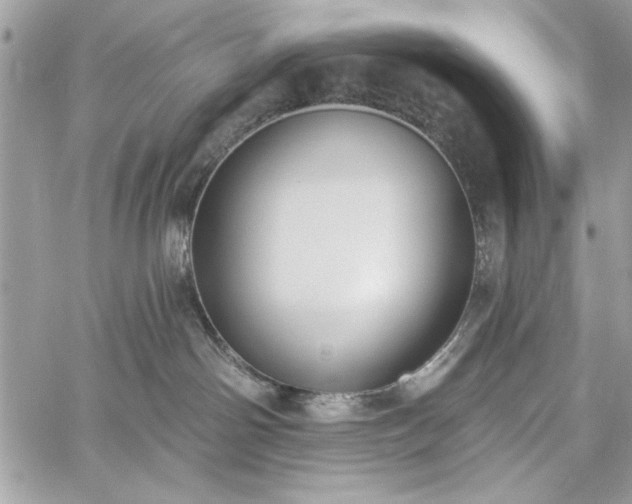 X0000060240142200510281128