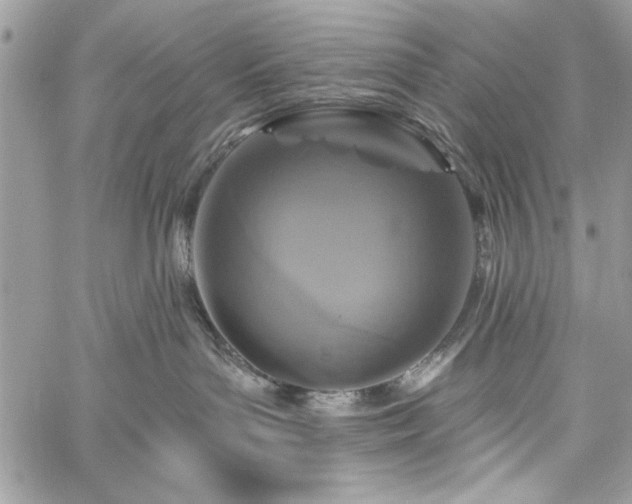 X0000060240143200510281128