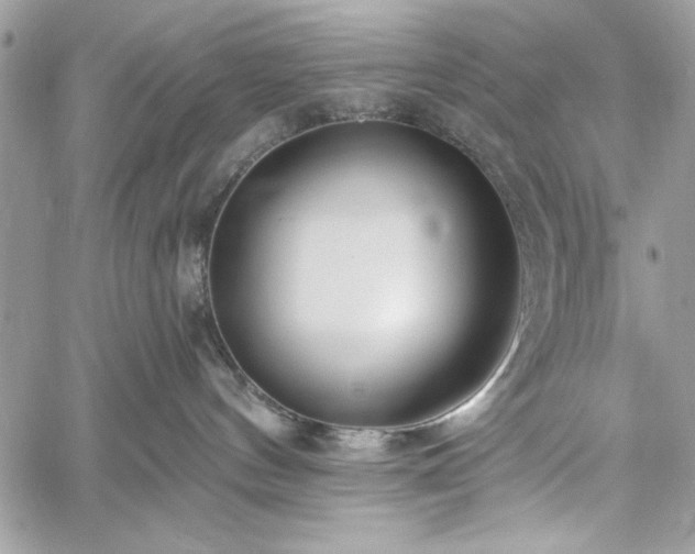 X0000060240144200510281128