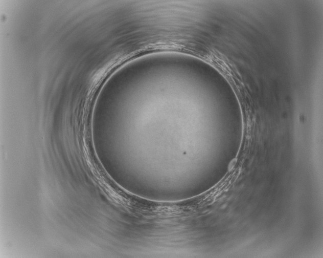 X0000060240145200510281128