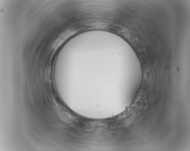 X0000060240146200510281128