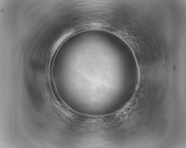 X0000060240147200510281128