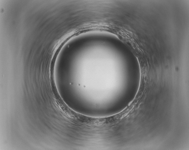 X0000060240148200510281128